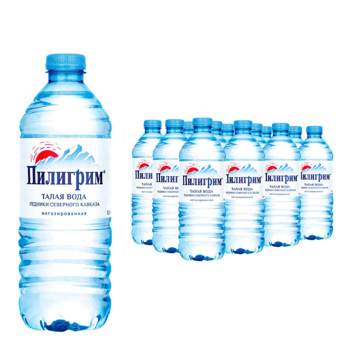 Вода мин  ПИЛИГРИМ 0.5л  не газ / упаковка 12шт. Цена указана за упаковку.